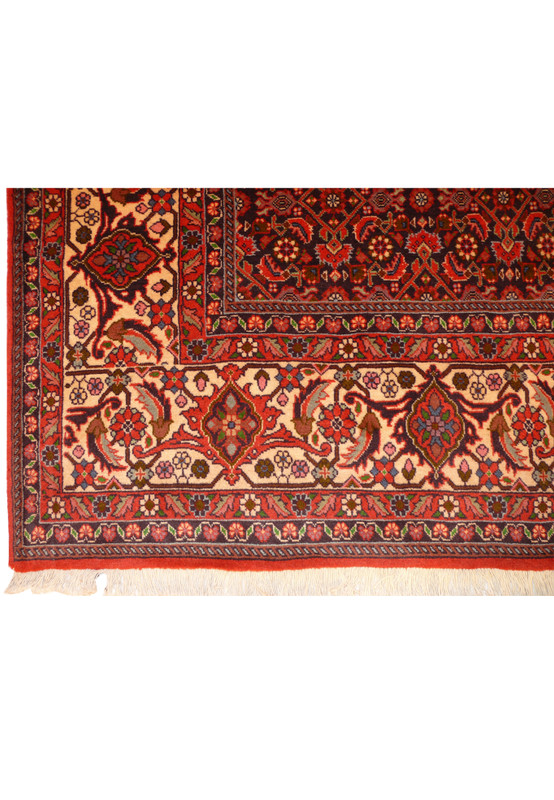 Corner view showing ivory border, guard stripes, dense weave, and fringe finish on Bijar rug.
