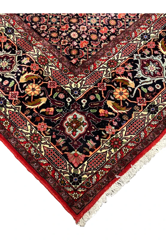 closeup of 10x13 Bijar rug main border with black ground and rose blossoms