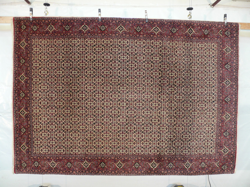 Hanging full-view 7x9'8 allover Bijar Persian Iron Rug with burgundy field, cream floral lattice, and detailed red–navy borders