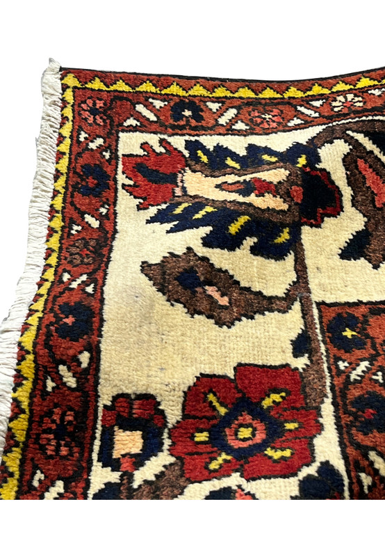 Folded edge detail of a Persian Bakhtiar garden rug highlighting wool density, color saturation, and layered knot structure within the border