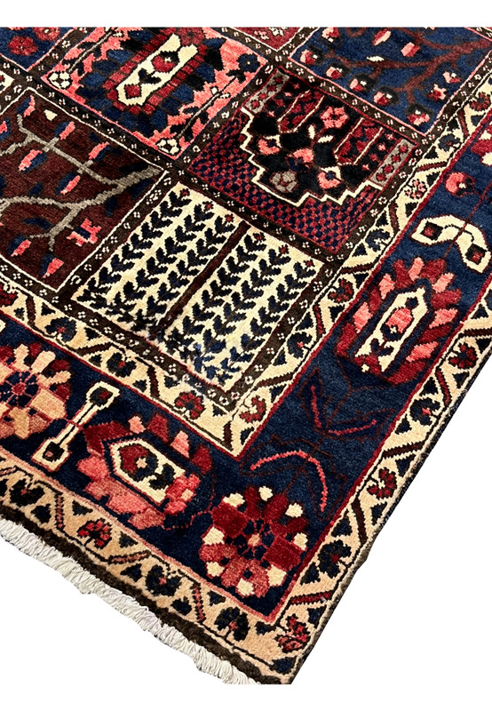 Corner and side edge detail of 7x10 Persian Bakhtiari rug with ivory guard border and fringe