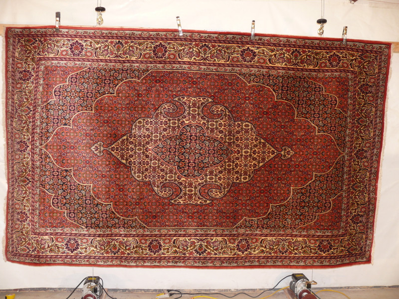 Hanging full view of unusual 6x10 Persian Bijar rug showing scalloped layered medallion against terracotta ground