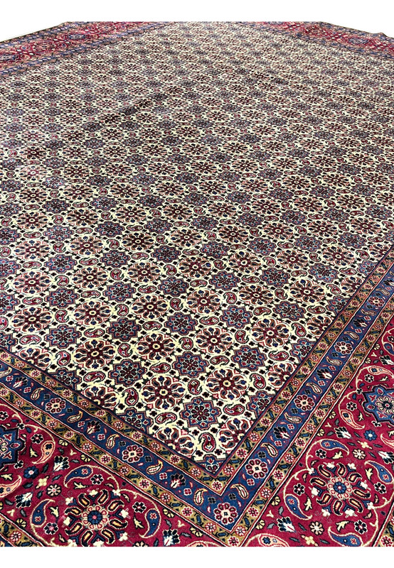 Angled corner view of authentic Persian Mashad, ivory Mahi field meeting deep red border, hand-knotted Kork wool