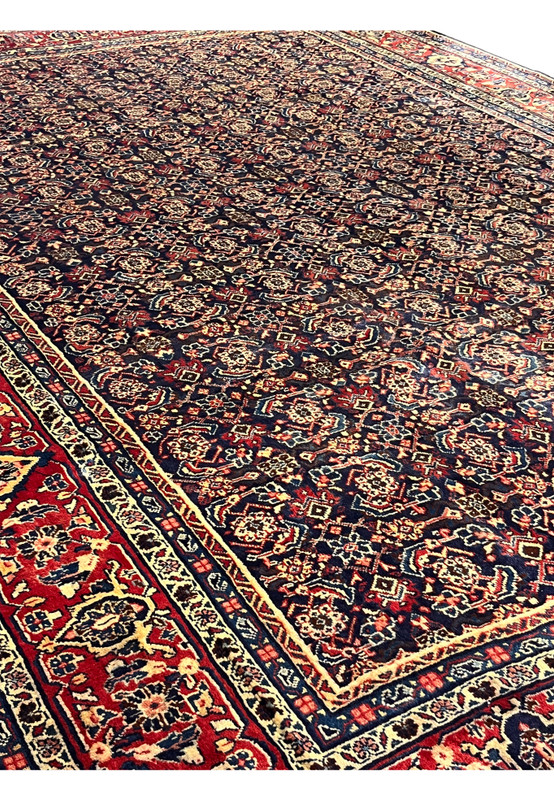 Angled view of 9x13 Persian Mahal rug, allover Herati field on navy with red border, for formal dining room or library