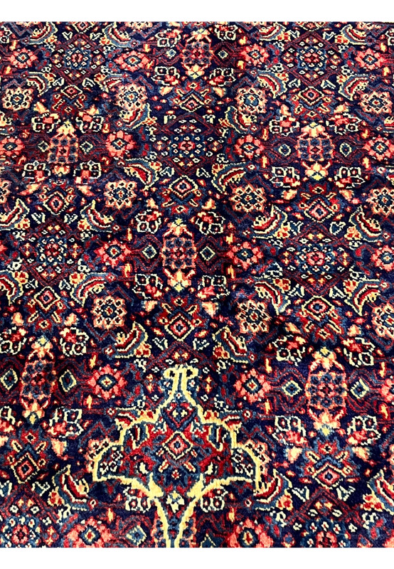 Color closeup Persian Sarough rug, salmon boteh and ivory florets on navy lattice, authentic vegetable dyed wool foundation