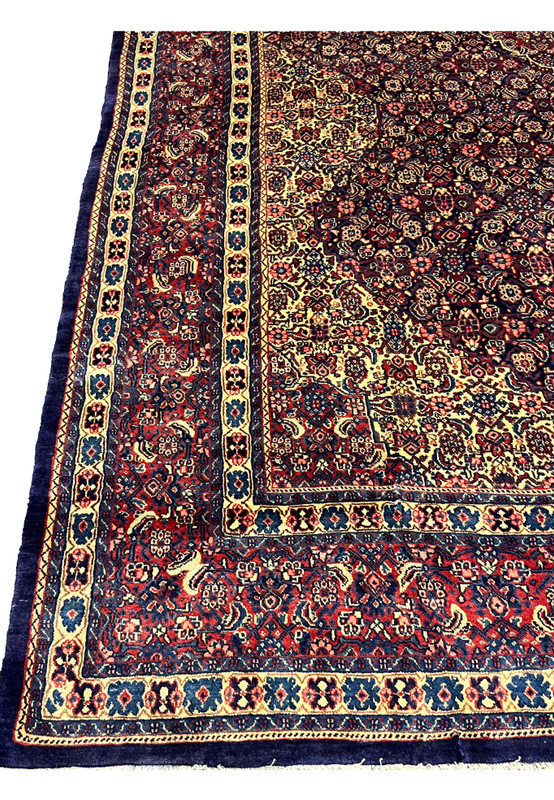 Border detail Persian Sarough rug, red ground with palmettes and turtle motifs, fine 220 KPSI hand-knotted authentic Persian