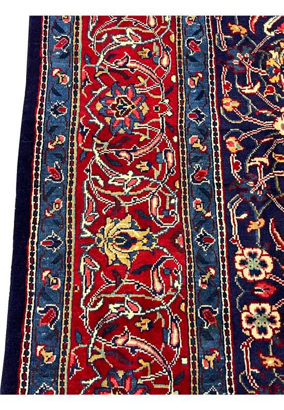 Red main border close-up with curved vines, paired palmettes, and gold detail, authentic Mahal
