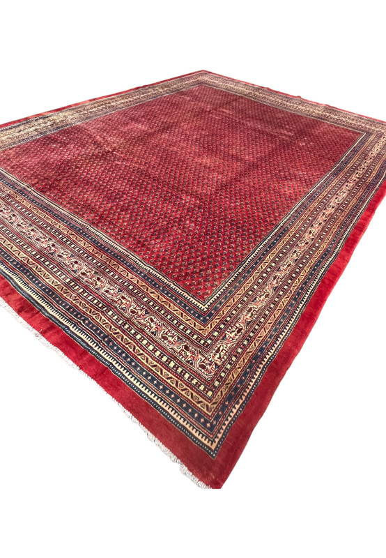Angled view of the palace size Sarough Mir showing red boteh field and ivory camel borders