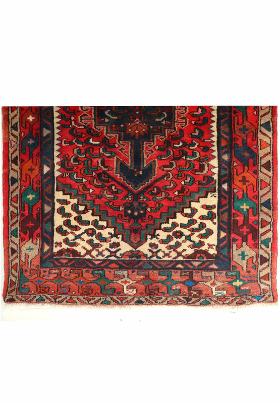 Corner and border design of the Persian Hamedan rug