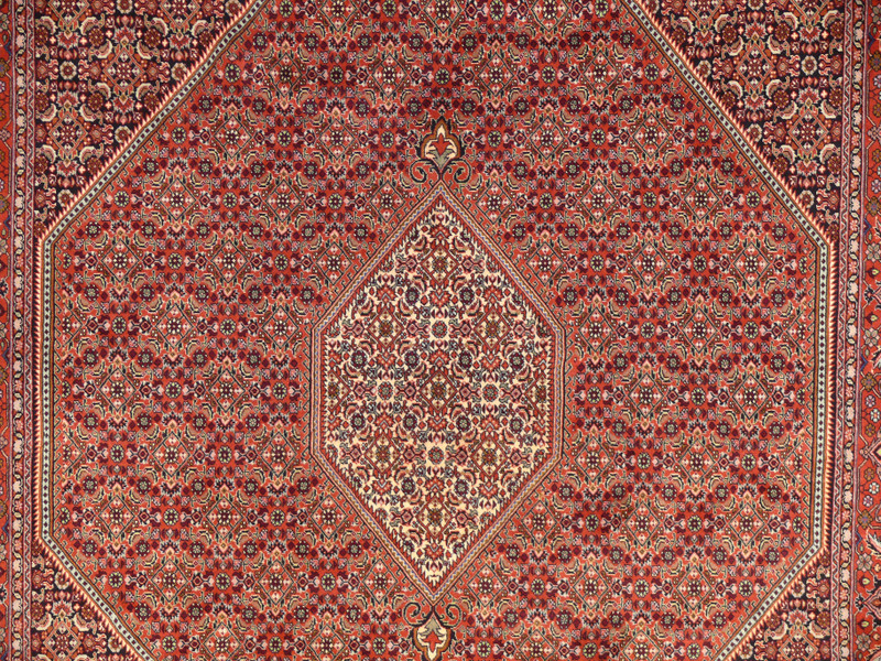 6'5" x 9'8" Persian Bijar Rug