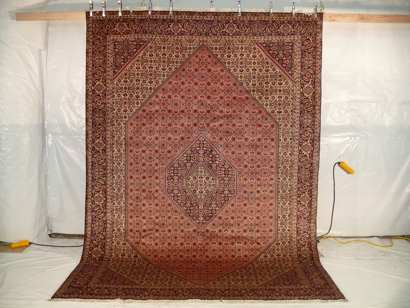 8'3" x 11'6" Persian Bijar Rug