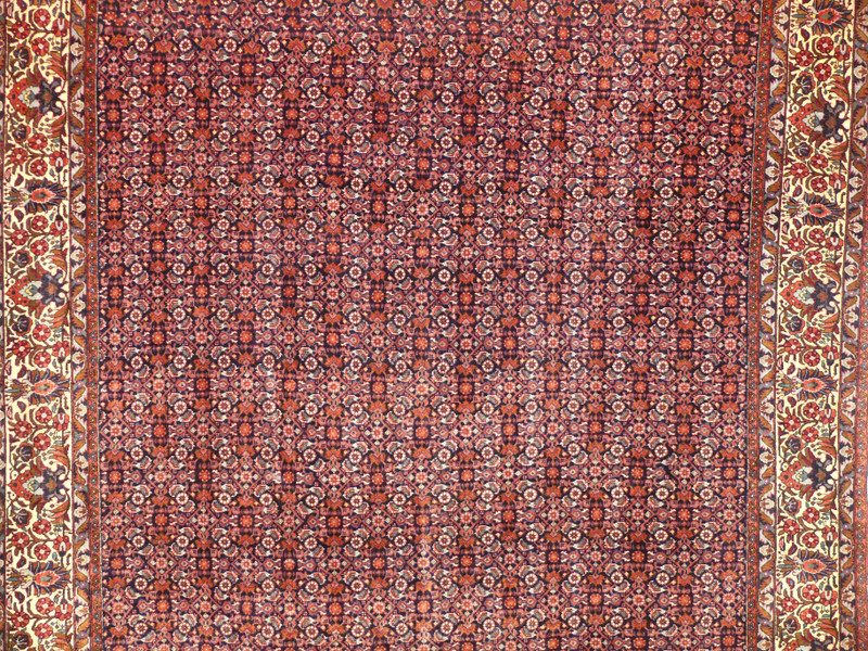 7'2" x 9'5" Persian Bijar All-Over Design Iron Rug