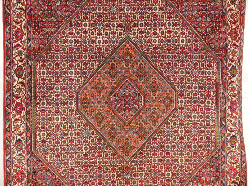 6"3" x 9'5" Persian Bijar Rug