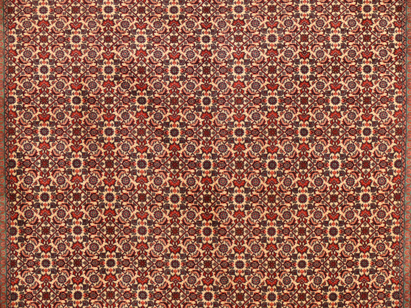 midfield pattern of the all over design 6'5 x 9'5 Persian Bijar Rug