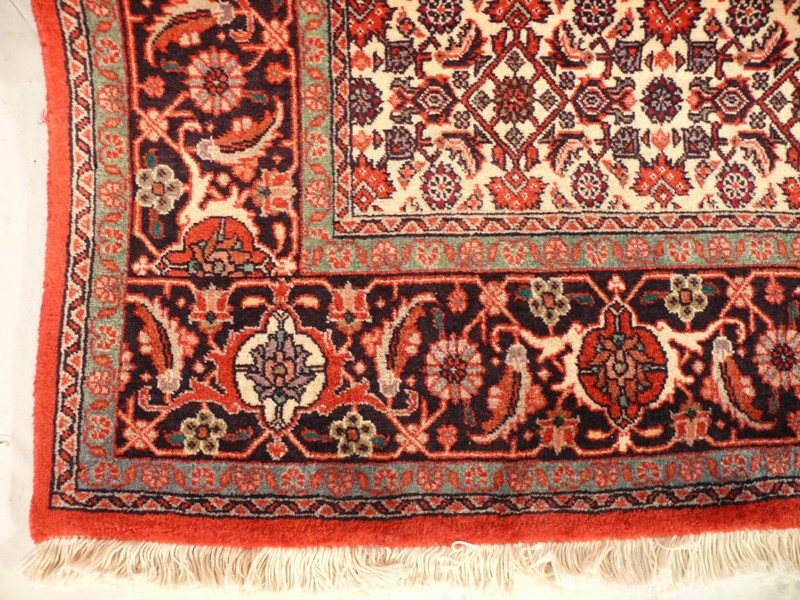 Border of 6'5 x 9'5 Persian Bijar Rug showing floral designs