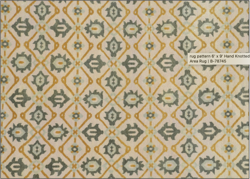 6 x 9 Transitional Pattern Livingroom Handmade Rug