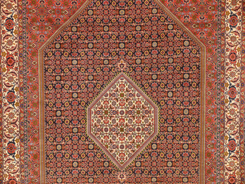 6'7" x 10 Persian Bijar Rug Mahi Design