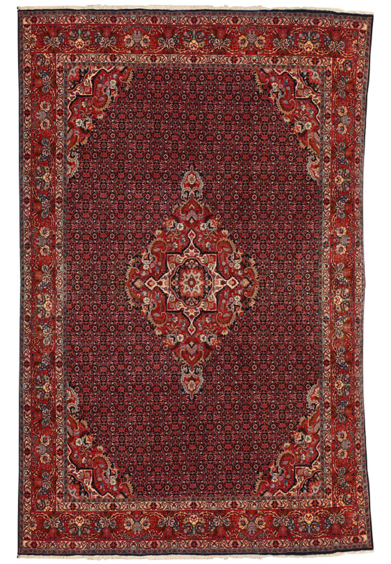 6'7" x 10'3" Persian Bijar Rug
