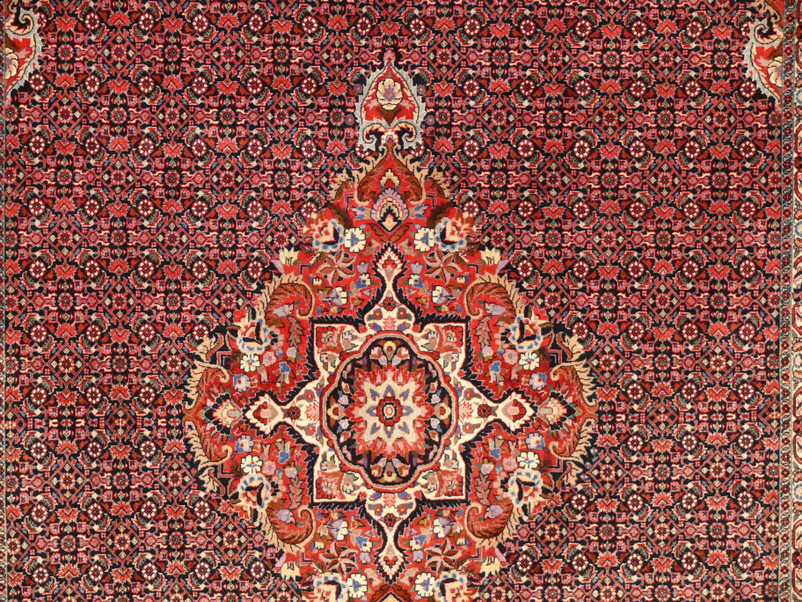 6'7" x 10'3" Persian Bijar Rug