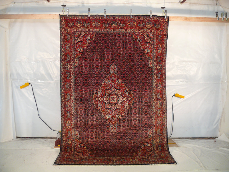 6'7" x 10'3" Persian Bijar Rug