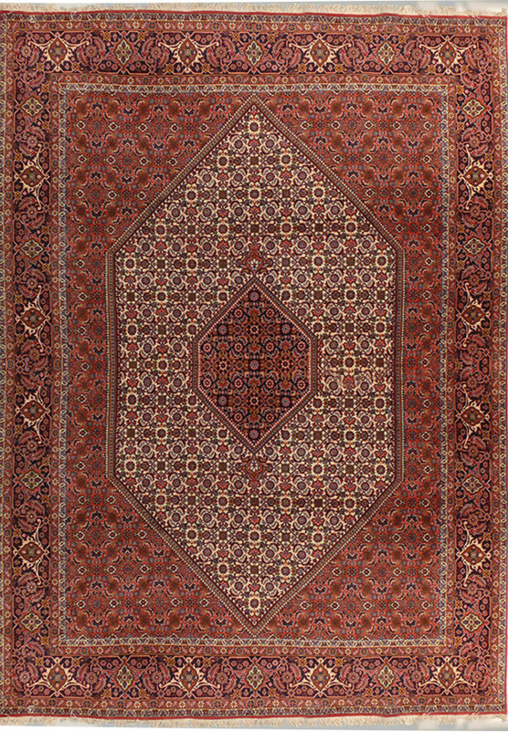 6'6" x 9'7" Persian Bijar Rug