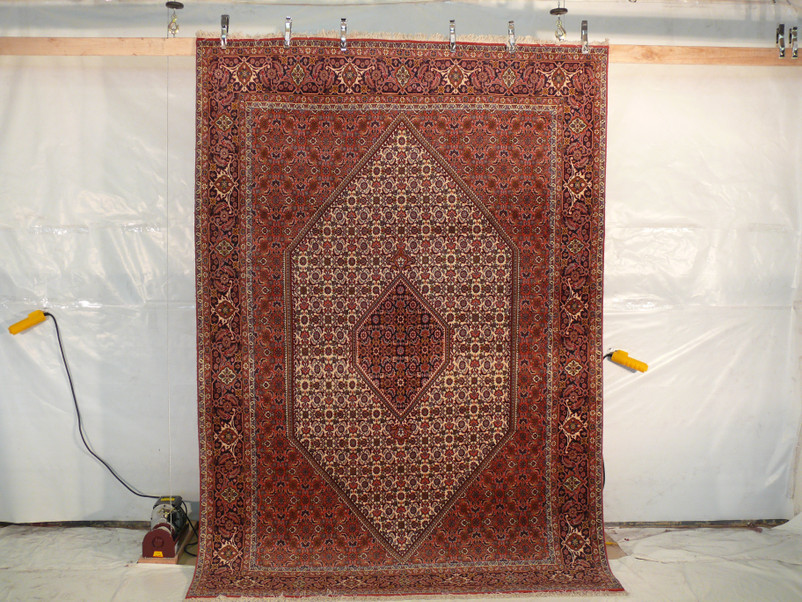 6'6" x 9'7" Persian Bijar Rug