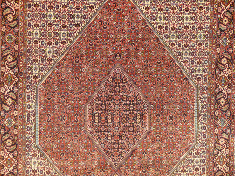 Persian Bijar Rug 6'7" x 9'6" Mahi Design