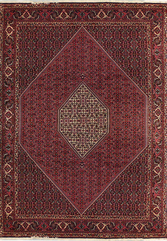 7 x 10'5 Persian Bijar Rug