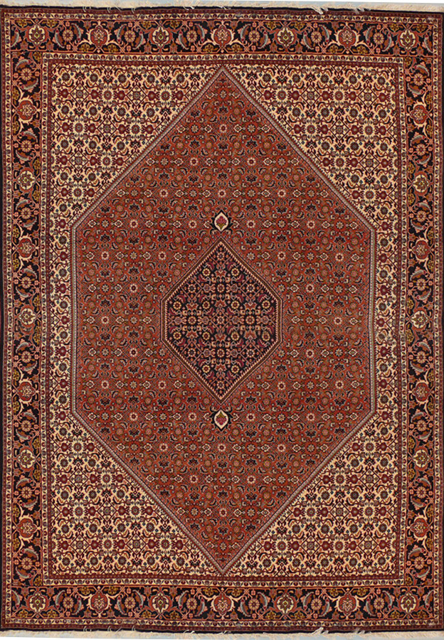 6'8 x 10 Persian Bijar Rug