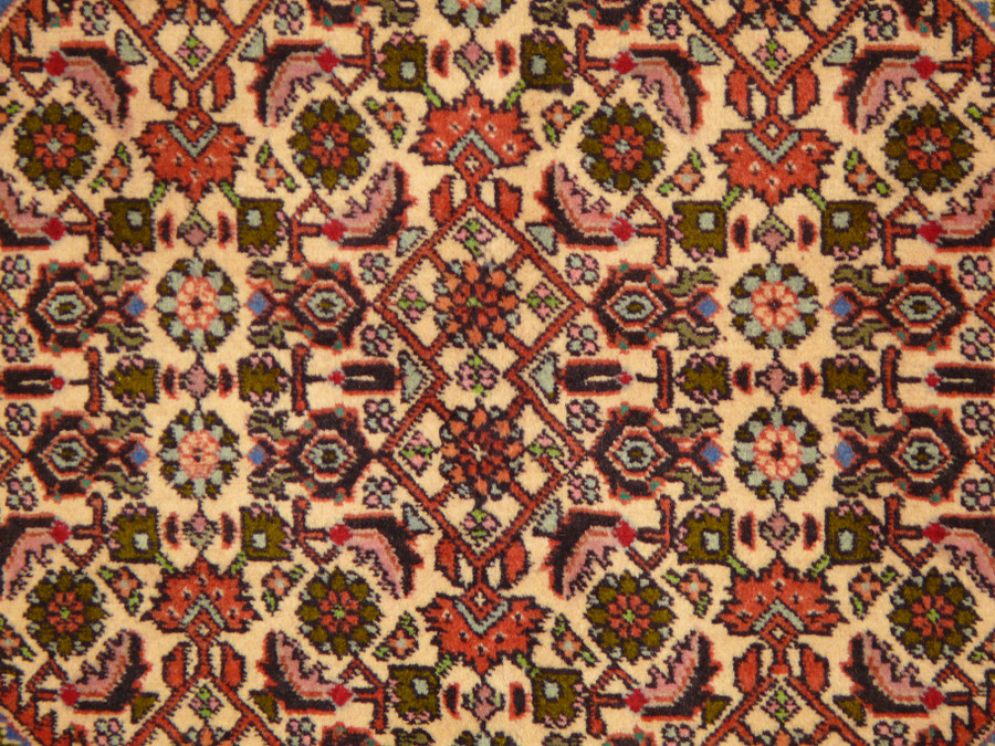 8'1" x 11'3" Persian Bijar Rug