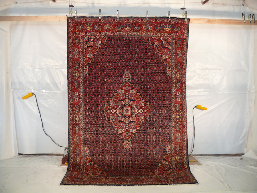 6'7" x 10'3" Persian Bijar Rug
