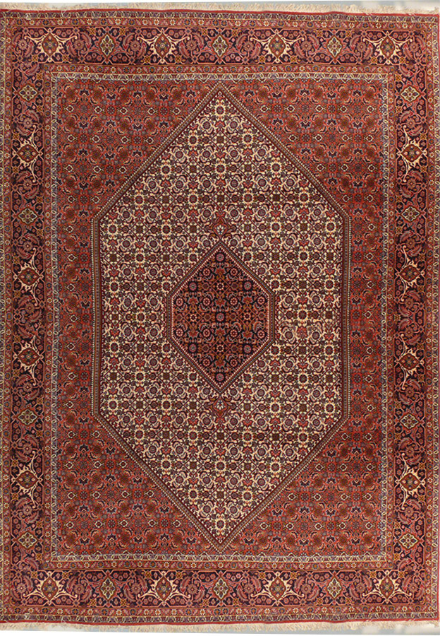 6'6" x 9'7" Persian Bijar Rug