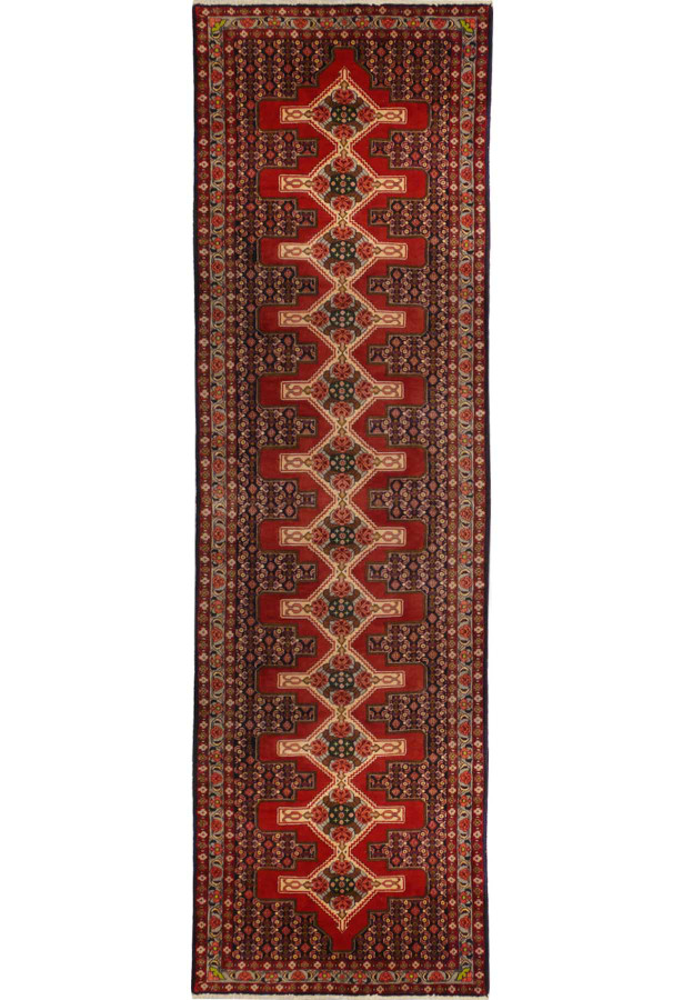 3 x 13 Geometric & Botanical Persian Senneh Runner Rug