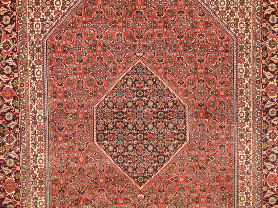 6'3 x 9'6 Persian Bijar Rug Mahi Design