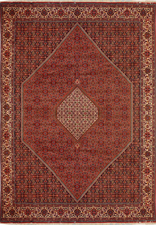 8'2 x 11'5 Persian Bijar Rug