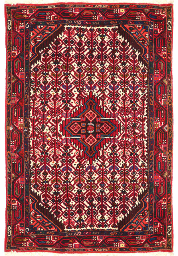 3 x 5 Persian Hamedan Rug | Clearance