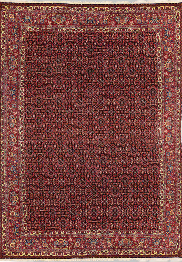 7 x 10 Open field Persian Bijar Rug