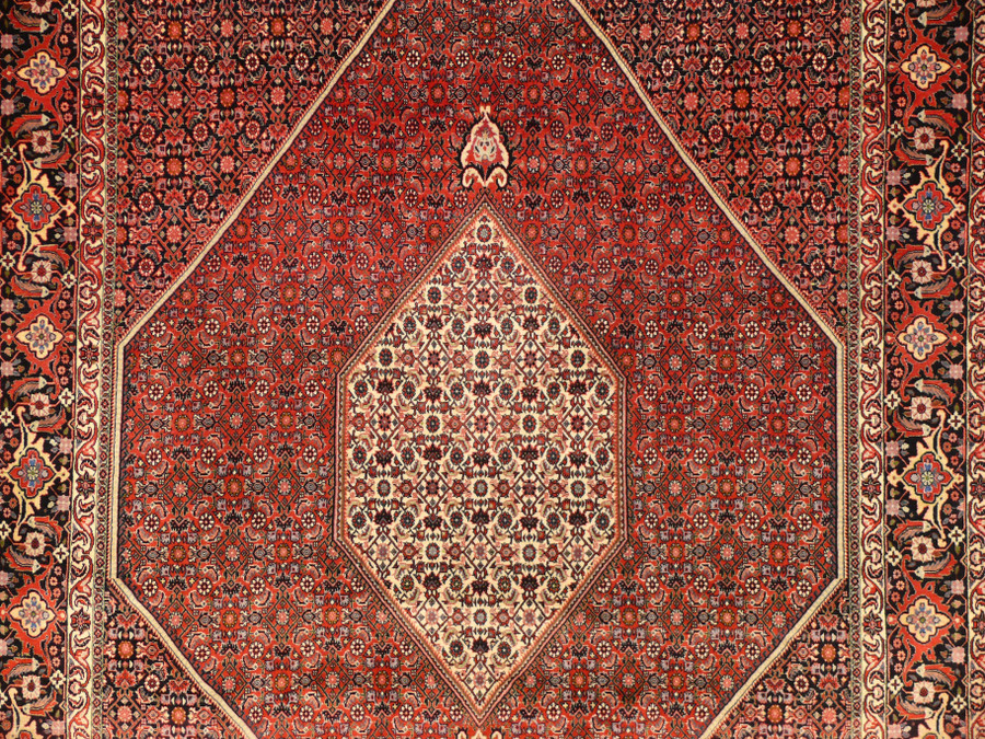 6'6 x 10'1 Persian Bijar Rug
