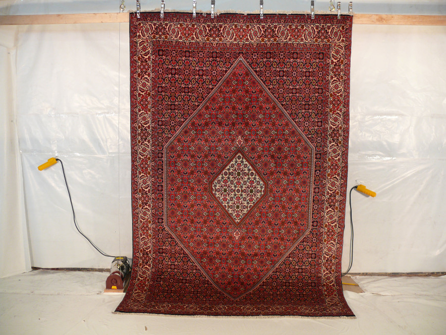 7 x 10 Persian Bijar Rug Diamond Medaillon