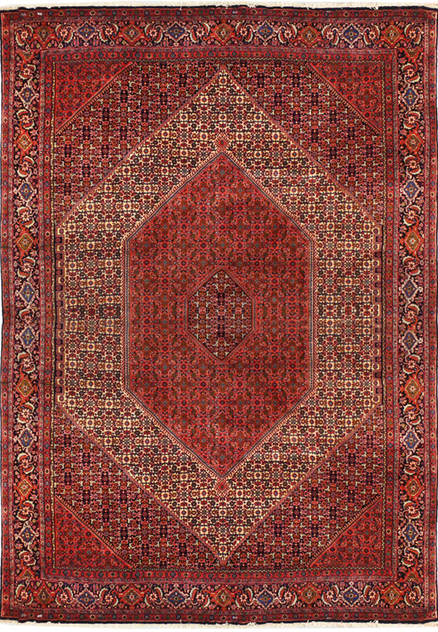 8'2 x 11'6 Persian Bijar Rug