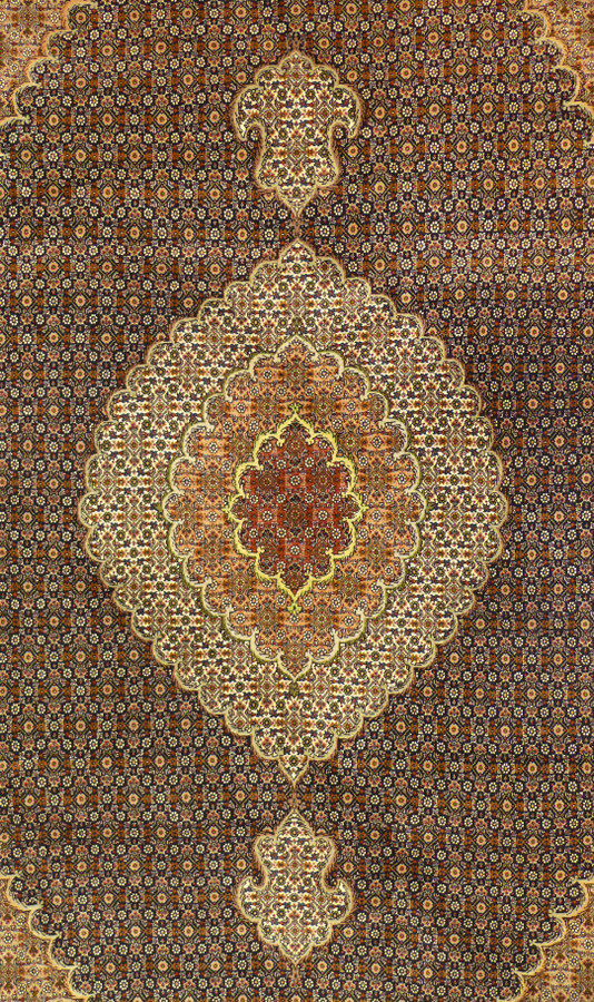 7 x 10 Persian Mahi Design 50 Raj Wool and Silk Rug