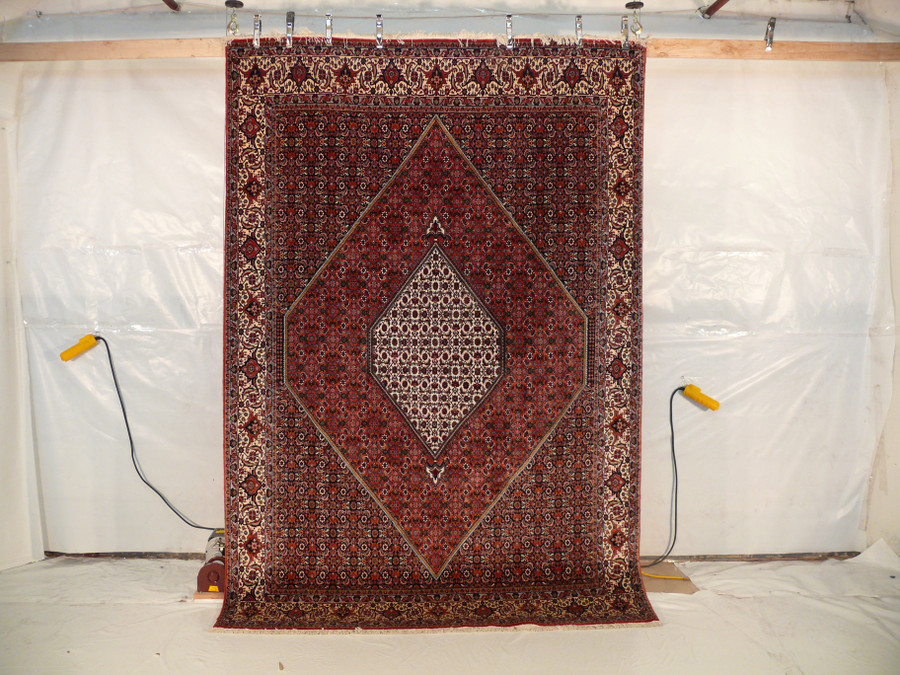 6'5" x 9'7" Persian Bijar Rug Mahi Design