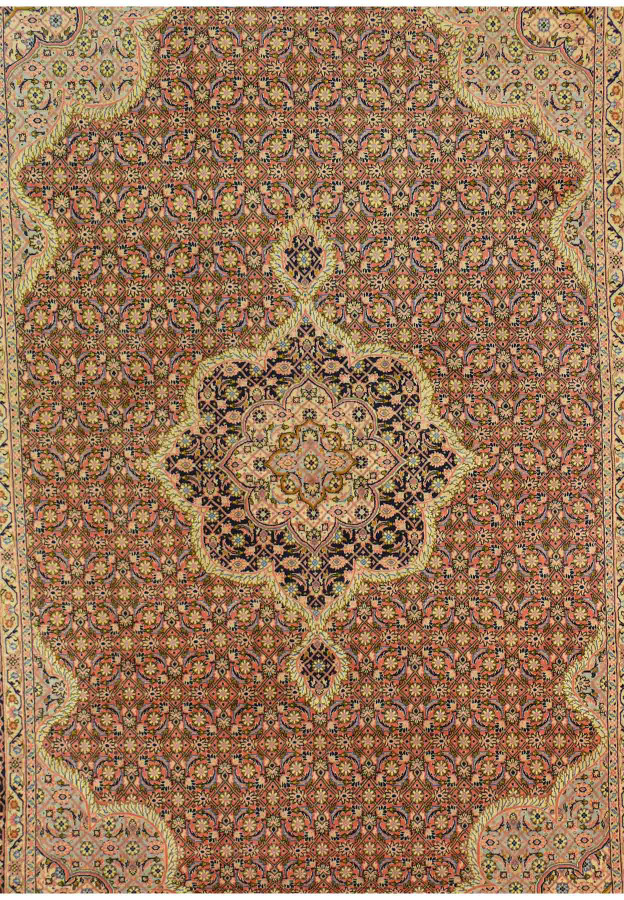 7 x 10 Persian Bijar Rug 5