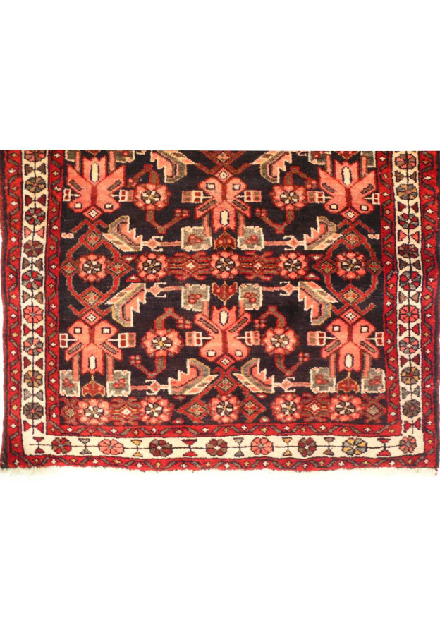 Border of a 3x10 Persian Hamedan Runner Rug