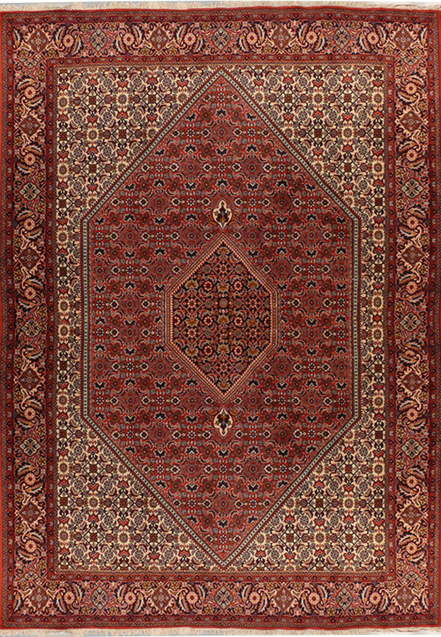 6'7" x 9'9" Persian Bijar Rug
