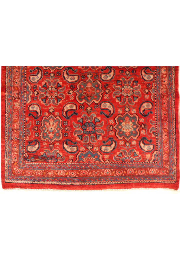 4x11 Persian Runner showing the beautiful Border of the handmade rug