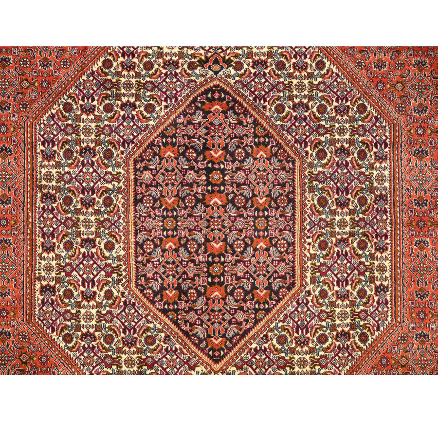 Rug That Will Last a Lifetime: 8x12 Persian Bijar