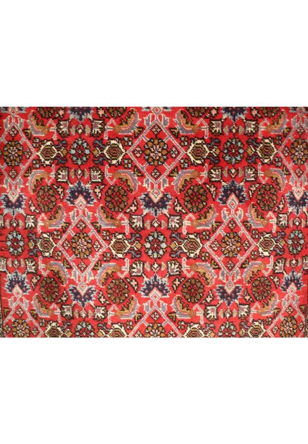 Close-up of the fringe and edge of the Persian Bijar runner rug, illustrating the fine finishing details and craftsmanship. The intricate border patterns and vibrant colors are clearly visible.
