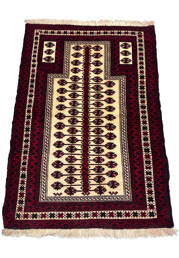Vertical full view of a 3'6 x 5'4 Persian Baluch Rug showcasing its detailed design.