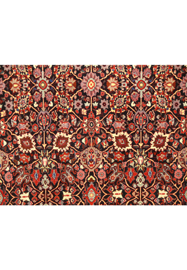 Central pattern of 6'6 x 8'4 Persian Bijar Rug